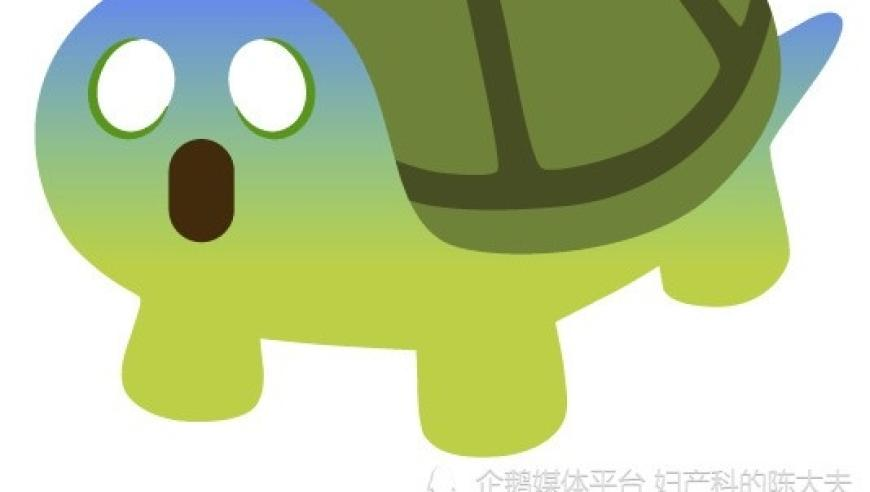 新澳门正版资料免费公开,中方回应巴方退出一带一路协议,展开计划实施_创意版V13.69