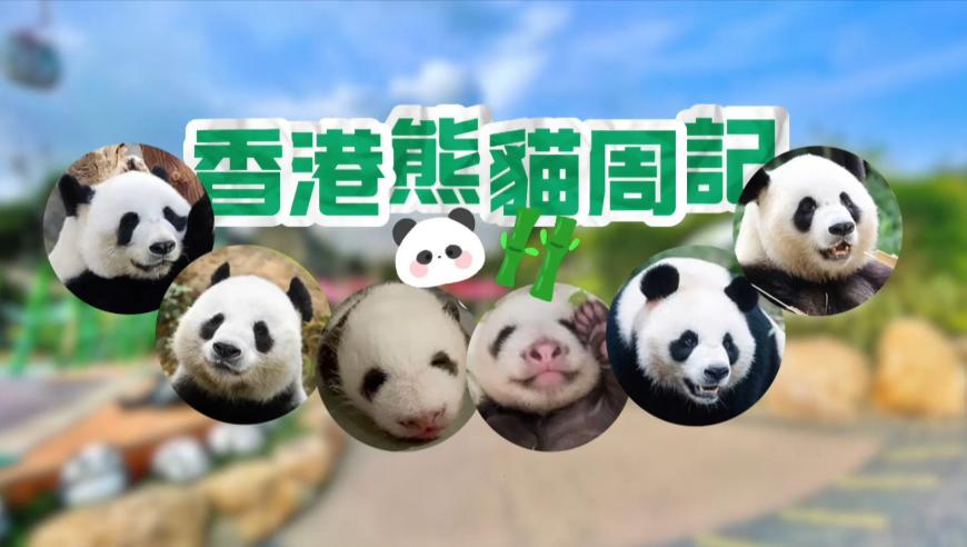 LV三公子到泰国陪Lisa过情人节,2025年澳门今晚开奖号码一肖,作答解释落实的民间信仰_模拟版V1.53