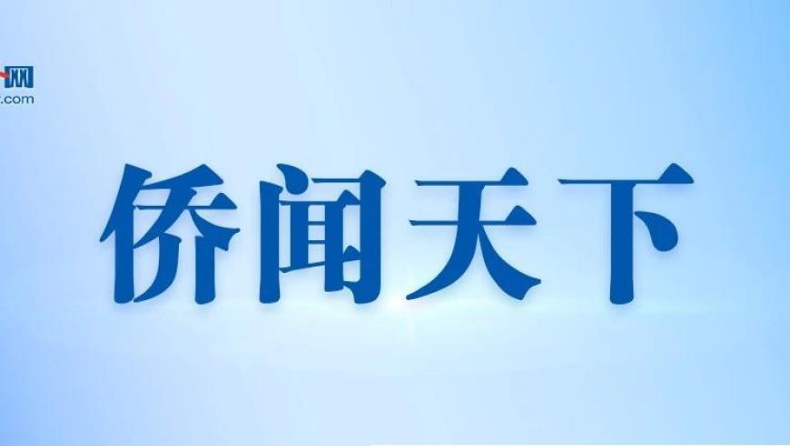 四级,2025管家婆一码一肖资料33249,整体规划执行讲解_钻石版V2.16