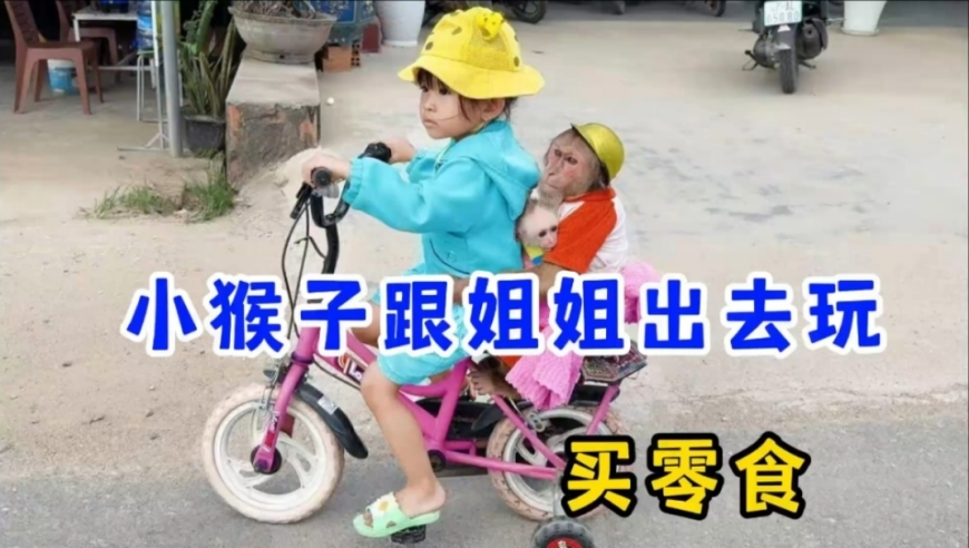 钱多多澳门正版资料免费大全,与诡异的蝙蝠寄生虫零距离接触,前瞻性战略落实探讨_界面版V6.94
